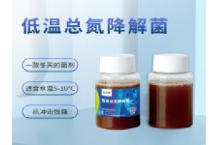 反硝化細(xì)菌在污水處理中的具體應(yīng)用是什么？